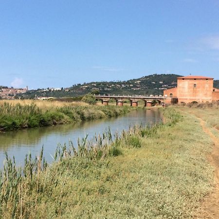 Direttamente Sulla Spiaggia Castiglione della Pescaia Eksteriør billede